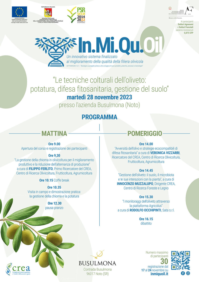 Corso di formazione Tecniche colturali dell'oliveto